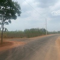 Mặt Tiền Đường Nhựa Huyện Trảng Bom Đồng Nai, 7Nền Liền Kề 1577M-1900M