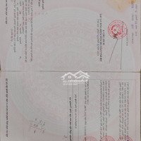 Giá Sốc (20 X 39) Giá Bán 900 Triệu Đất Tại Xã Đông Thanh Ven Đà Lạt