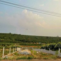 Đất Biệt Thự Giá Bán 800 Triệu Tại Thành Phố Bảo Lộc