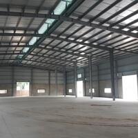 Cho thuê kho 1500m2 KCN Cát Lái, Phường Cát Lái, Quận 2