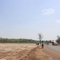 Đất Mặt Tiền Đường Nhựa Thổ Cư Giá Rẻ Bình Phước
