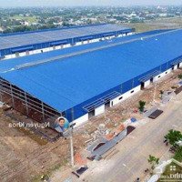 Cần Bán Gấp - Lô Đất Nền 100M2 - Mặt Tiền Ql50 - Sát Kcn Phước Đông, Long An