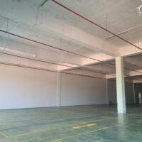 Cho thuê kho xưởng 200m2, 5000m2, 10.000m2 trong KCN Nhơn Trạch, Huyện Nhơn Trạch, Tỉnh Đồng Nai