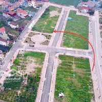 170M2 Đấu Giá Công Luận 2 Thị Trấn Văn Giang