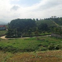 Chủ Cần Tiền Bán Gấp Đất Nghỉ Dưỡng View Đồi Núi Giá Rẻ Tuyệt Đẹp Tại Tiến Xuân, Thạch Thất, Hà Nội