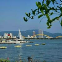 Căn hộ ven sông Hàn gần cầu Rồng Đà Nẵng, nhận đặt chỗ ưu tiên vị trí