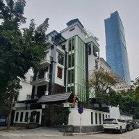 Bán Gấp Bt Mễ Trì, Cạnh Kangnam, Landmark72, 200M, 6 Tầng, Lô Góc 2 Mặt Phố Chính. Giá Đầu Tư