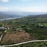 Đất Nền Lâm Hà Lâm Đồng View Sông Giá Dân Và Chính Chủ Sẵn Sổ