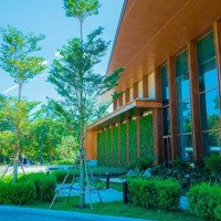 Booking 3-7 Ngày Có Phiếu Mộc, Đợt Đầu Tiên Phân Khu The Orchard - Sycamore Bình Dương - Capitaland