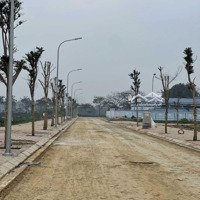 Bán Đất Đấu Giá Huỳnh Cung Đường 17M