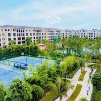 Chính Chủ Bán Căn Shophouse Phân Khu Cọ Xanh Cx 3 - 138 Vinhomes Ocean Park 2