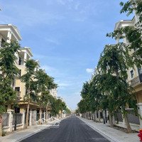 Chính Chủ Bán Căn Shophouse Phân Khu Cọ Xanh Cx 3 - 138 Vinhomes Ocean Park 2