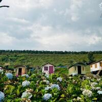   MÔ HÌNH KINH DOANH HOMESTAY KẾT HỢP NGHỈ DƯỠNG VỚI TIỆN ÍCH CAO CẤP TẠI BẢO LỘC...