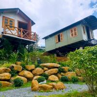   MÔ HÌNH KINH DOANH HOMESTAY KẾT HỢP NGHỈ DƯỠNG VỚI TIỆN ÍCH CAO CẤP TẠI BẢO LỘC...