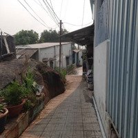 Cho Thuê Nhà Nguyên Căn 90M2 Kp5 Phường Bửu Long, Thành Phố Biên Hoà