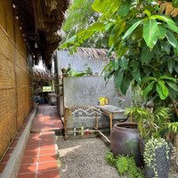 Chính Chủ Cần Bán Farmstay Nghỉ Dưỡng 1000M2 Full Thổ Tại Gò Dầu Tây Ninh Liên Hệ: 0988370981 Quyền Lê