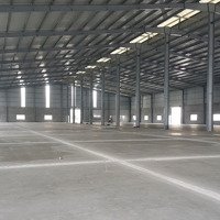 Cho Thuê Kho Xưởng 5000M2 Đến 20.000M2 Đường 833B Tp Tân An