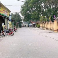 Chính Chủ Bán 60M Thổ Cư Tại Xuân Đồng- Tân Minh- Sóc Sơn- Hn