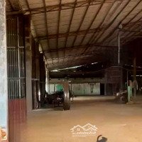 Bán Xưởng 3000M2, Đất 9000M2, 18 Tỷ, Bình Phước, Kế X Trừ Văn Thố, Bd, Đường Cont40F, Bđiện 250Kva