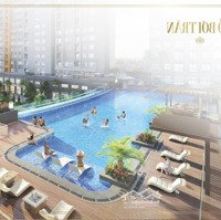 Căn Hộ Victoria Village Tháp 1: 2 Phòng Ngủ(69M2) Giá Bán 3,9 Tỷ, Tt 1,9 Tỷ, Tháp 4: 64M2 (3,7 Tỷ) Tt 2,4 Tỷ