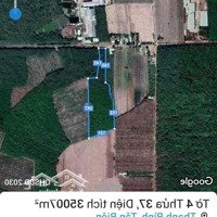 Chính Chủ Cần Bán 2 Lô Đất Mặt Tiền Vị Trí Đẹp Tại Xã Thạnh Bình, Tân Biên, Tây Ninh