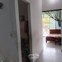 Cho Thuê Nhà Vườn 300M2 Đường 43 Cắt Đường Lưu Bình Hương