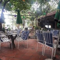 Coffee Shop 400M2 (Có Thể Mở Rộng Thêm 210M2 Nhà Ở Phía Sau), Gò Vấp