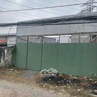 Bán Đất 8X30M Giá Bán 8,8 Tỷcó Thương Lượngcạnh Phần Mềm Quang Trung, Q12.