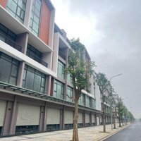 Cơ Hội Đầu Tư Sống Đẳng Cấp - Shophouse 2 Mặt Tiền 100M2 Tại Vinhomes Ocean Park 3