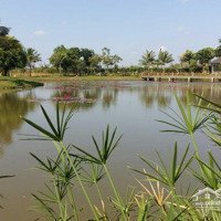 Cập Nhật Top 11 Căn Giá Tốt Nhất Park Riverside