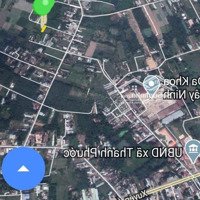 Cần Bán Đất Đường Pháo Binh, Thanh Phước, Gò Dầu, Tây Ninh