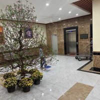 Căn Hộ Tại Kđt Nam Trung Yên- 61M2 Nhà Đẹp - An Sinh Đỉnh -Chỉ Hơn 3 T.ỷ