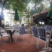 Coffee Shop 400M2 (Có Thể Mở Rộng Thêm 210M2 Nhà Ở Phía Sau), Gò Vấp