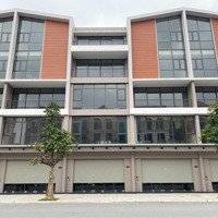 Cần Bán Gấp Shophouse Đối Diện 50 Tòa Cc Noxh Vinhomes Ocean Park 3 Gần Grand World Hà Nội.