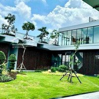 Bán Lỗ Nền Vq Sân Golf Biên Hoà Newcity 500 Triệu, Sổ Hồng Riêng