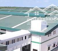 Cho Thuê Đất Trống Mặt Tiền Đường Quốc Lộ 13, 1500M2 Sát Vạn Phúc City , Thủ Đức