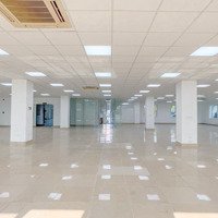 Sàn Văn Phòng 200M2 Tại Dịch Vọng, Vị Trí Đắc Địa Kinh Doanh Hái Ra