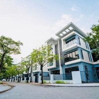 Chủ Không Vay Được Ngân Hàng, Cần Cắt Lỗ Nhanh Biệt Thự An Quý Villa Nam Cường, Dương Nội, Hà Đông,