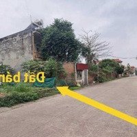 Cần Bán Đất Trục Chính Kinh Doanh Quảng Hội, Quang Tiến, Sóc Sơn, Hà Nội
