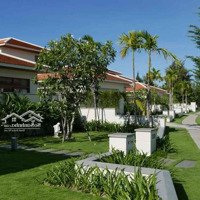 Cần Cho Thuê Ocean Villa Siêu Đẹp