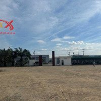 Bán Xưởng Tại Kcn Nhơn Trạch Đồng Nai 24.500 M2 Chỉ 110 Tỷ