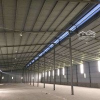 Cho Thuê 1600M Đất Có 1000M2 Kho Nhà Xưởng Tại Khu Vực Sơn Trà Đà Nẵng