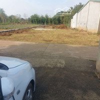 Cho Thuê 800M2 Đât Tc-14×62 Đươg Lơn(Gân Bx Phia Nam)