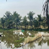 Bán 1,1Ha Đất Vườn Sầu Riêng View Sông Đang Cho Trái Gần Thị Trấn Tân Phú Đồng Nai