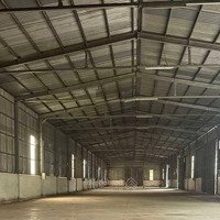 Cho Thuê Xưởng Mặt Đường Chính Ở Tiên Lãng,Diện Tích1000M2, Giá Chỉ 26 Triệu