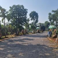 Ra nhanh lô đất vườn gần sông tại Phú Túc . Nằm ngay đường DT763. Ngang 16m.Giá 789 triệu