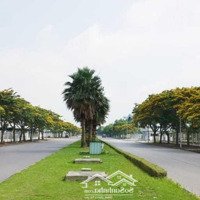 Chuyển Nhượng Gấp Lô 2Ha - 5Ha Đất Ký Trực Tiếp Cđt Trong Kcn Đại An Mở Rộng Gđ Ii - Giá Cực Tốt