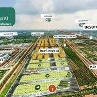 Bán Đất Nền Khu Dân Cư Giáp Ranh Bình Chánh - Giá Chạm Đáy, Hỗ Trợ Trả Chậm 38 Tháng Không Lãi Suất