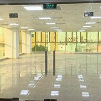 Cho Thuê Tòa Nhà Văn Phòng Shb Building Nằm Ngay Mặt Tiền Đường Đại Lộ Hòa Bình, Tp Cần Thơ