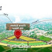 Đất Nền Mặt Đường 494 Rộng 60M Tại Trung Tâm Kcn Hà Nam 1200Ha. Sẵn Sổ Đỏ Trao Tay Luôn